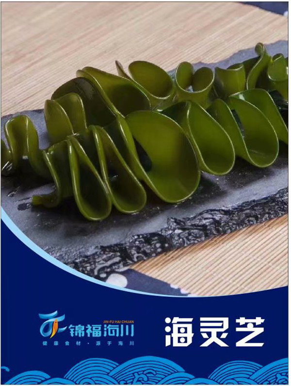 海靈芝